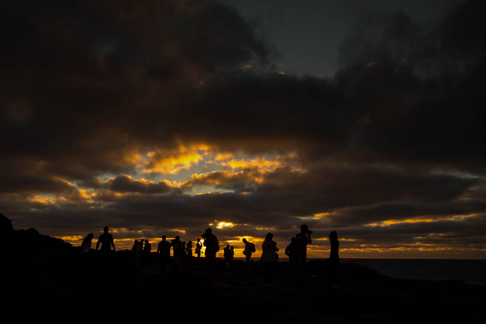 wolves workshop, wolves, pablo, canary islands, 